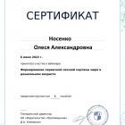 вебинар формирование мира Носенко ОА.jpg